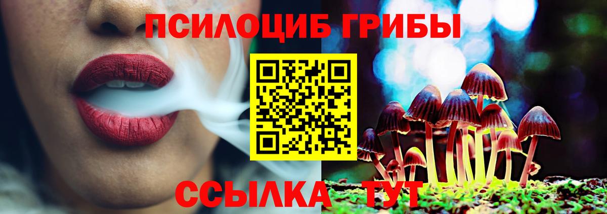 Псилоцибиновые грибы MAGIC MUSHROOMS  Псилоцибиновые грибы Psilocybine cubensis  Вход с VPN  Брянск 